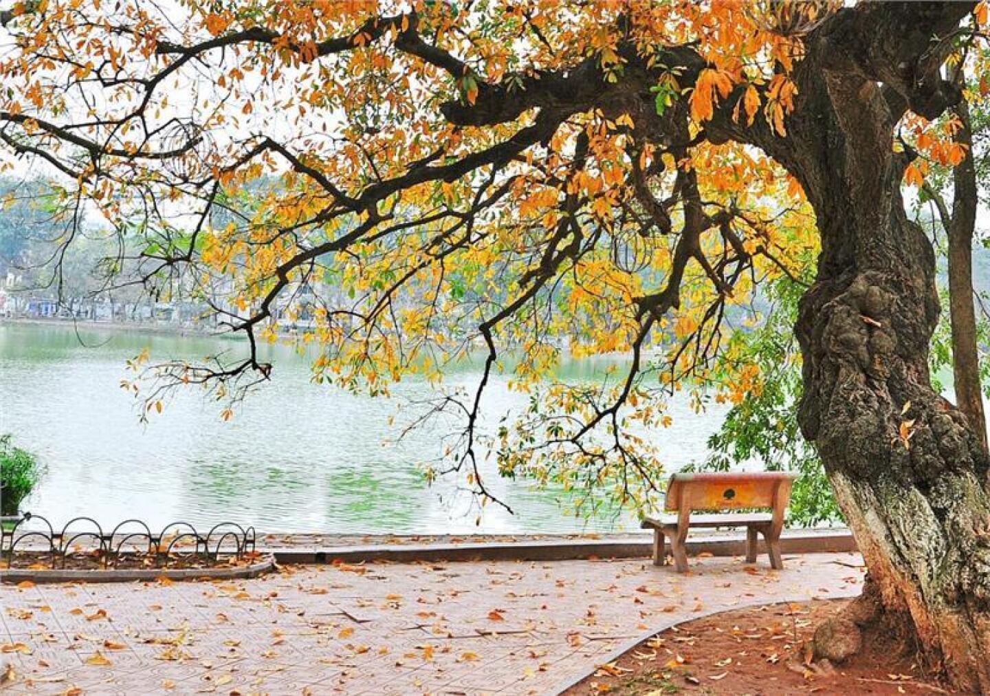 Die drei besten Reiseziele in Vietnam, die im Herbst erkundet werden können.