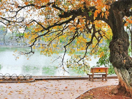 Die drei besten Reiseziele in Vietnam, die im Herbst erkundet werden können.