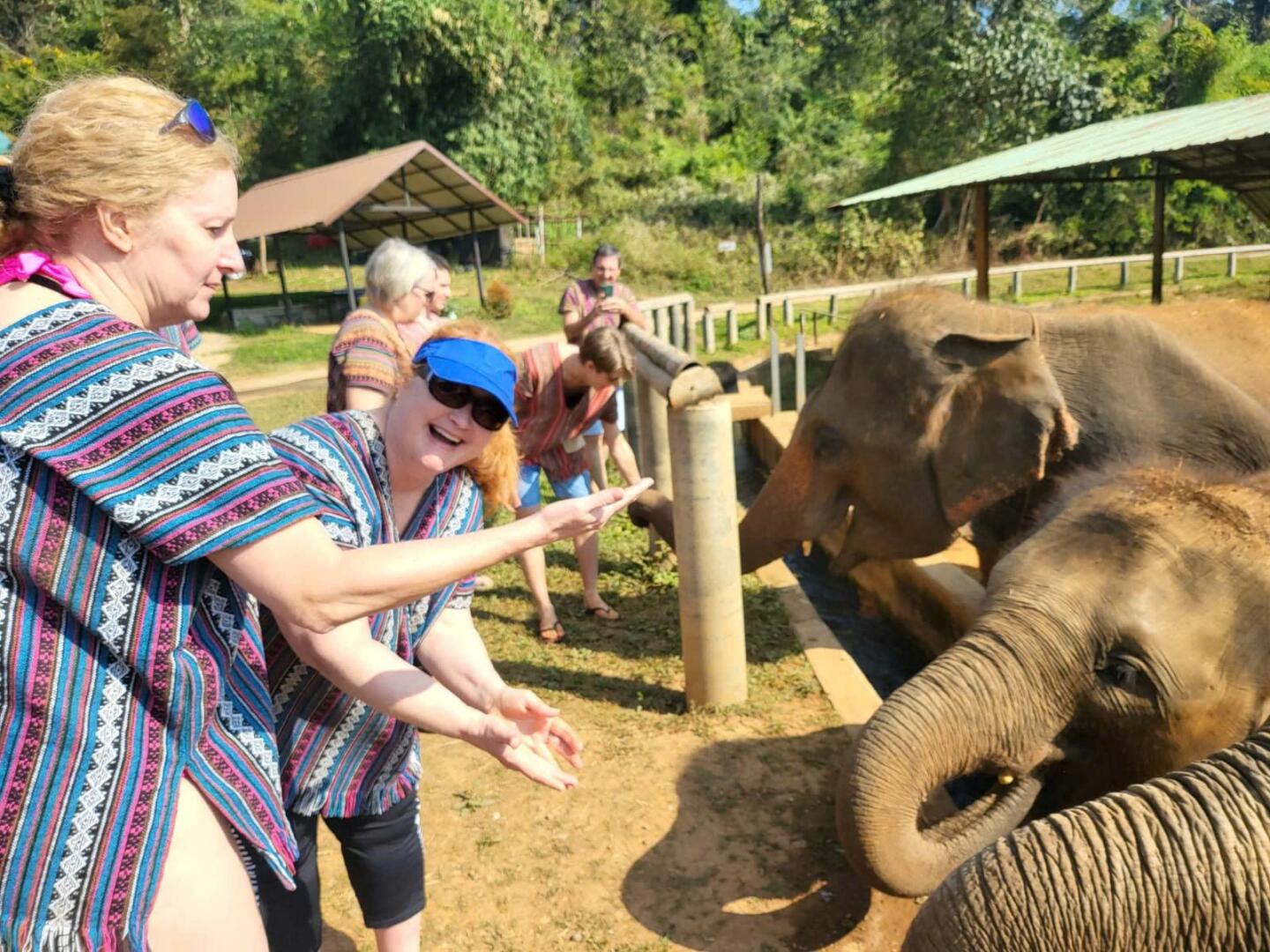 Eines Tages im Königreich der sanften Riesen in Chiang Mai.