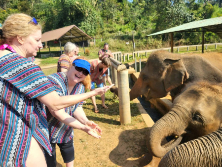 Eines Tages im Königreich der sanften Riesen in Chiang Mai.