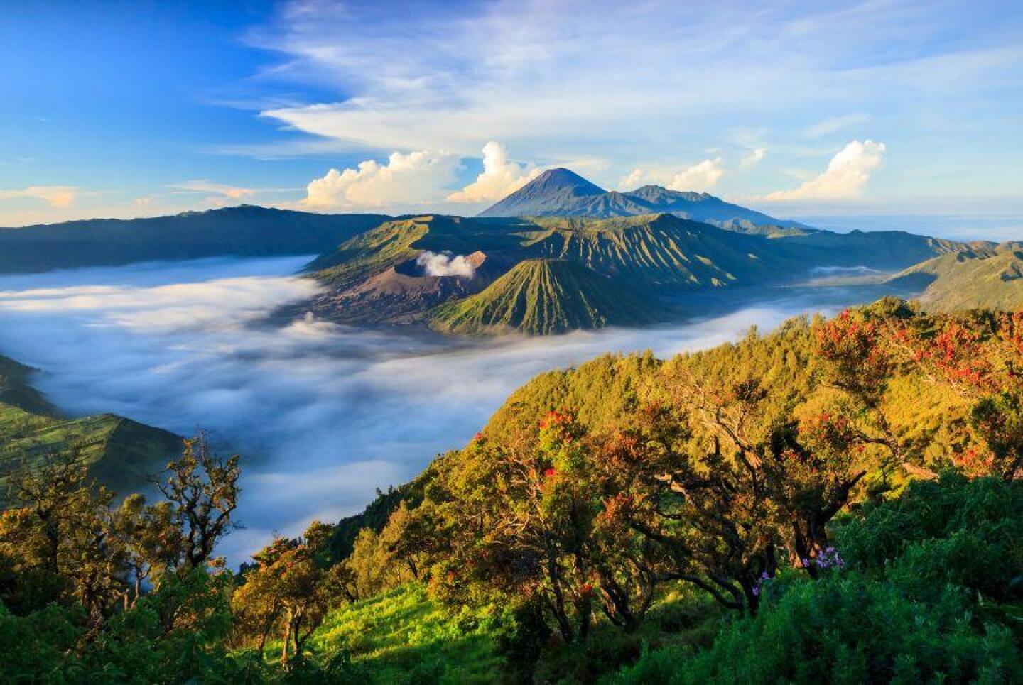 Unter der Asche und dem Himmel: Eine Reise durch die vulkanische Majestät von Bromo Tengger Semeru