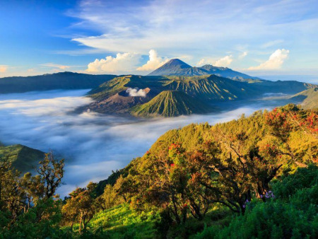 Unter der Asche und dem Himmel: Eine Reise durch die vulkanische Majestät von Bromo Tengger Semeru