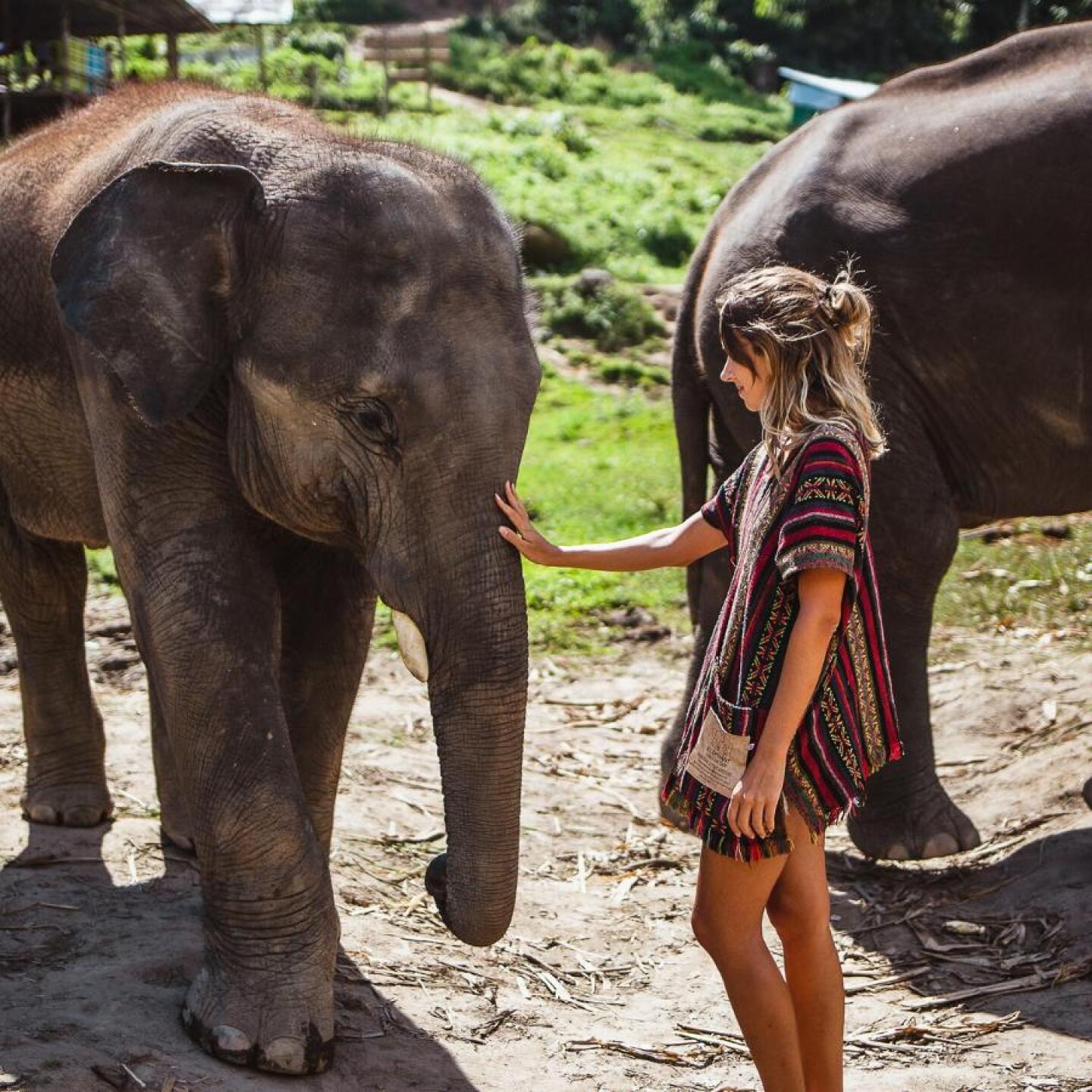 Eine Reise zu nachhaltigen Elefantenschutzgebieten in Thailand