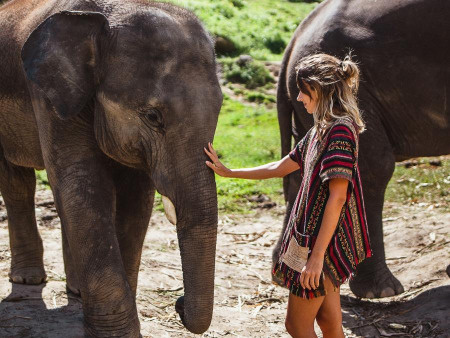 Eine Reise zu nachhaltigen Elefantenschutzgebieten in Thailand
