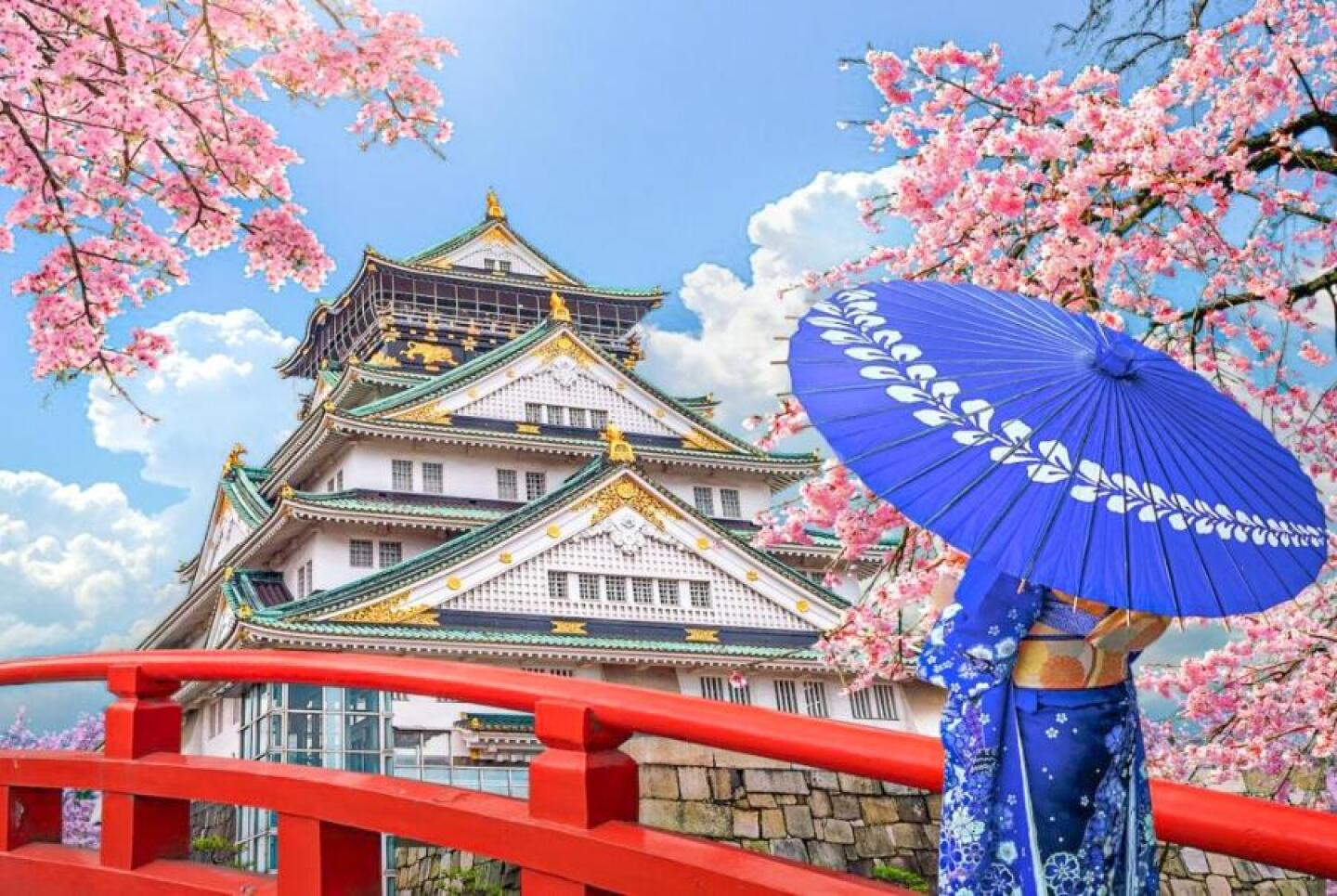 Blüten im Wind: Die Erlebnis der Kirschblütenfestivals in ganz Japan