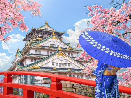 Blüten im Wind: Die Erlebnis der Kirschblütenfestivals in ganz Japan