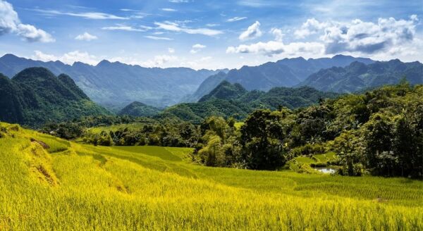 Tag 2: Hanoi – Pu Luong (F/M/A) Dorfleben | Wasserräder | Rafting