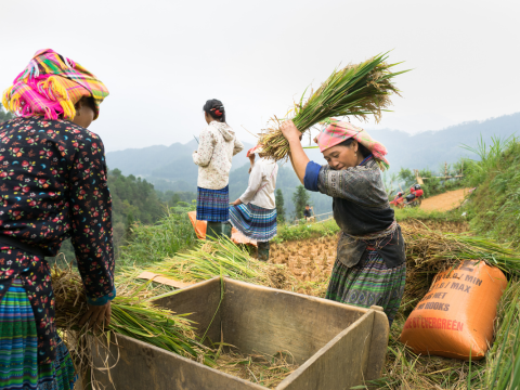 Zeit mit dem Bergstamm in Mu Cang Chai verbringen