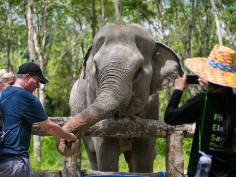 Halbtägiges privates VIP-Elefantenpflegeprogramm im Elephant Wild Sanctuary